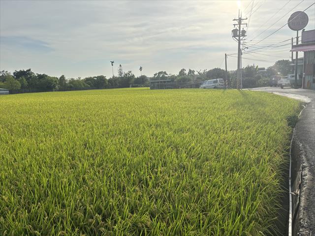生產者圖片