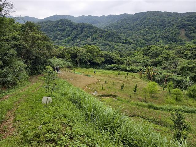 生產者圖片