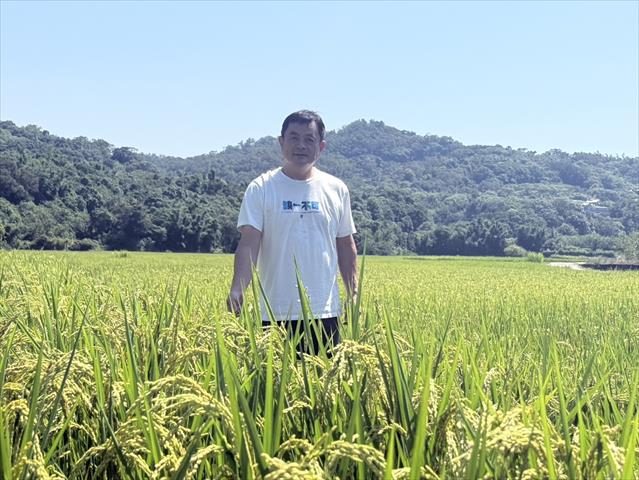 生產者圖片
