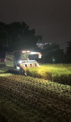 生產者圖片