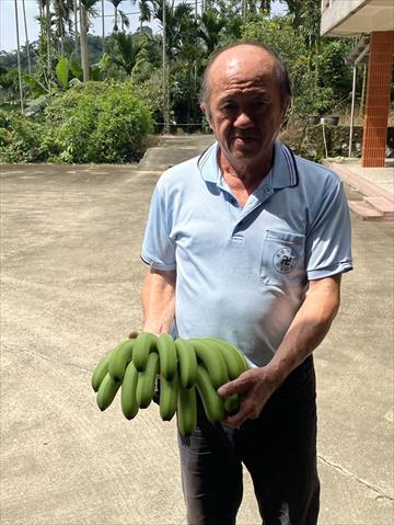 生產者圖片