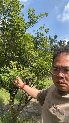生產者圖片