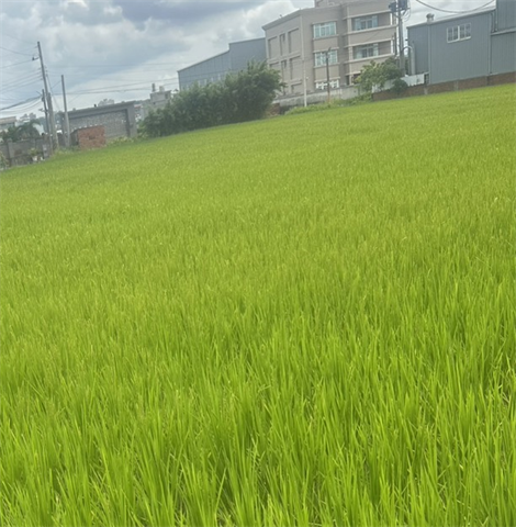 生產者圖片