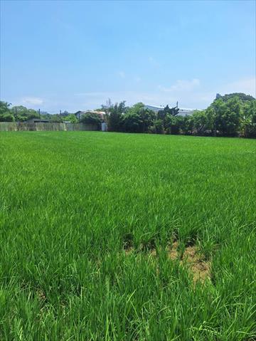 生產者圖片