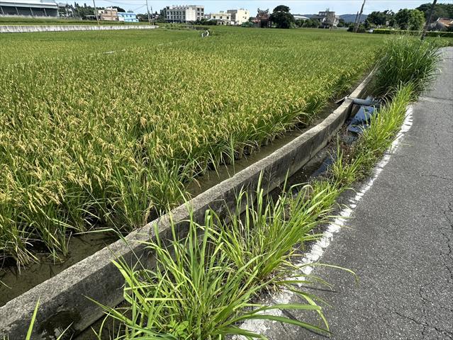 生產者圖片