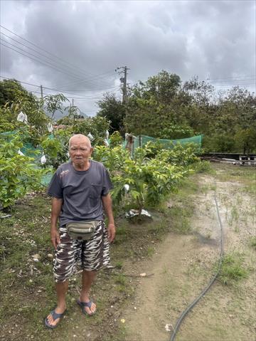 生產者圖片