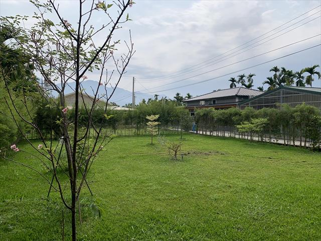 生產者圖片