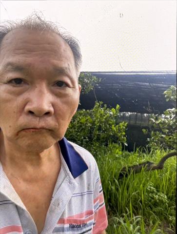 生產者圖片