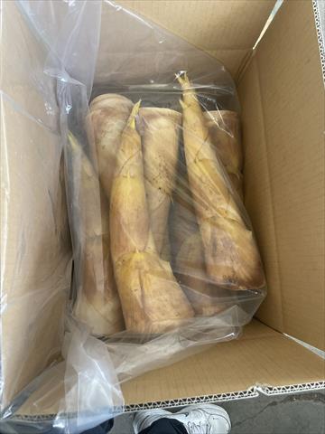 生產者圖片