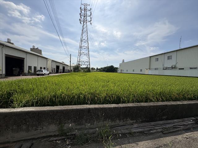 生產者圖片