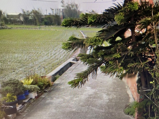 生產者圖片