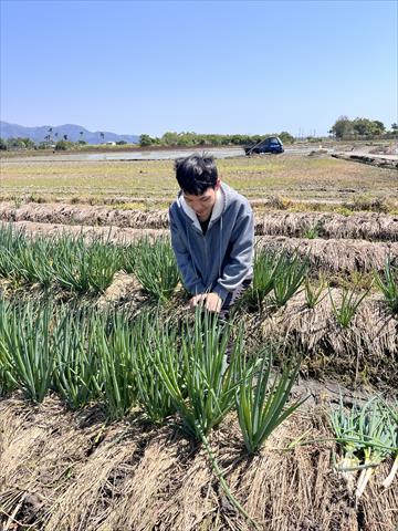 生產者圖片