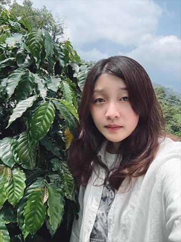 生產者圖片