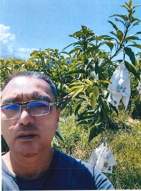 生產者圖片