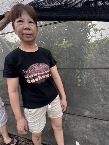 生產者圖片