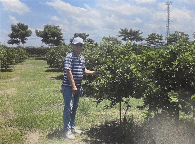 生產者圖片