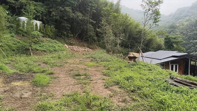 生產者圖片