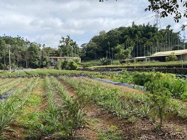 生產者圖片