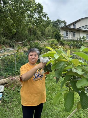 生產者圖片