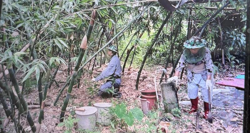 生產者圖片