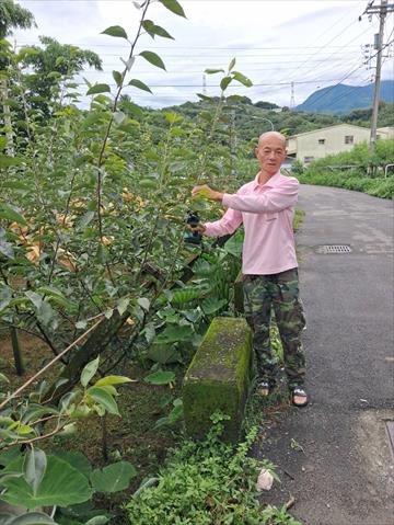 生產者圖片