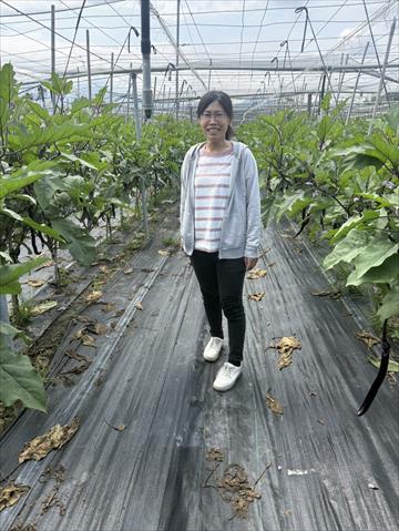 生產者圖片