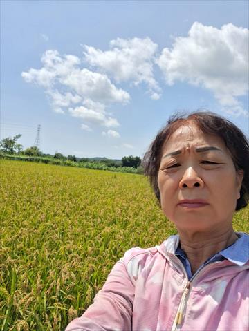 生產者圖片