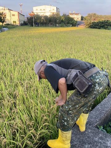生產者圖片