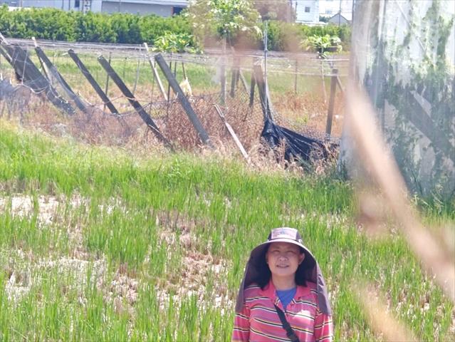 生產者圖片