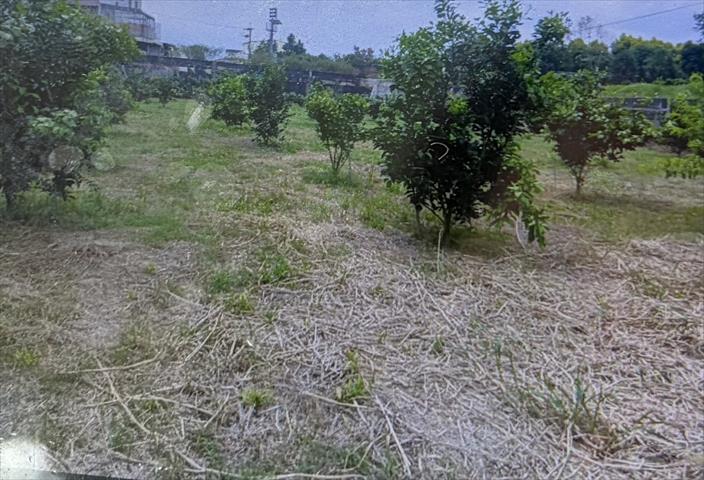 生產者圖片