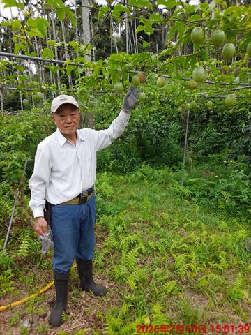 生產者圖片