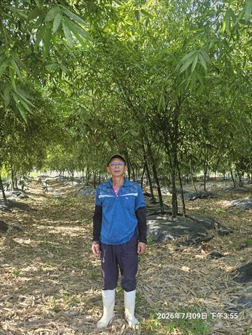 生產者圖片