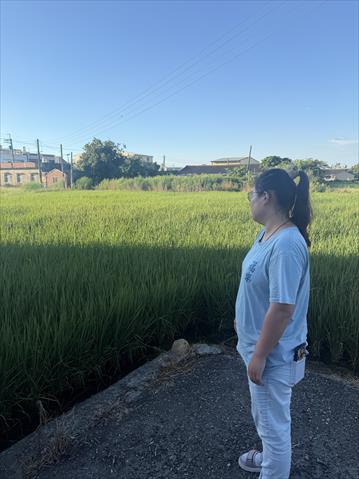 生產者圖片