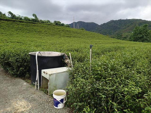 生產者圖片