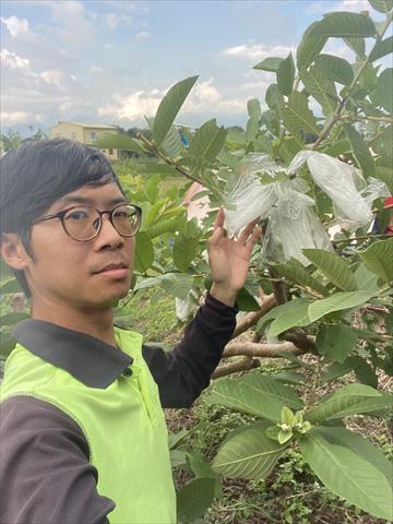 生產者圖片