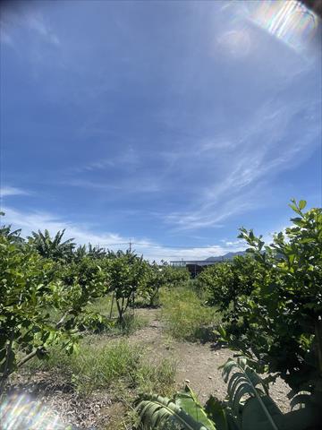 生產者圖片