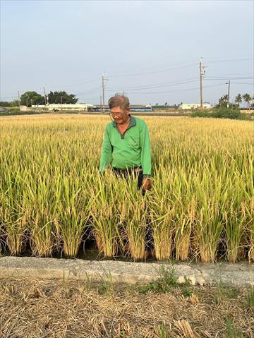 生產者圖片