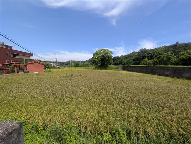 生產者圖片