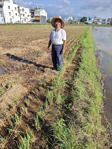 生產者圖片