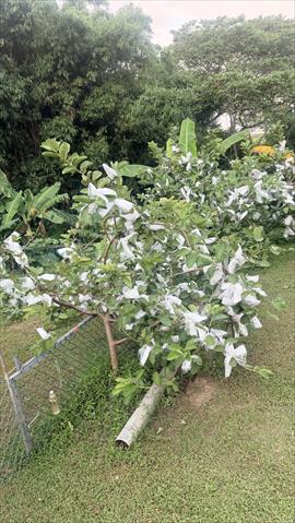 生產者圖片