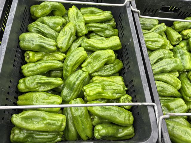 生產者圖片