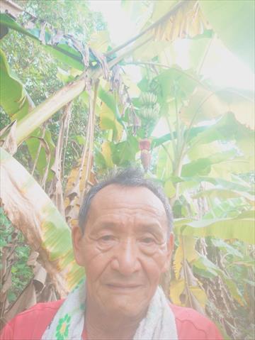生產者圖片