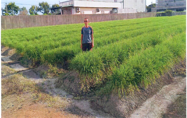 生產者圖片