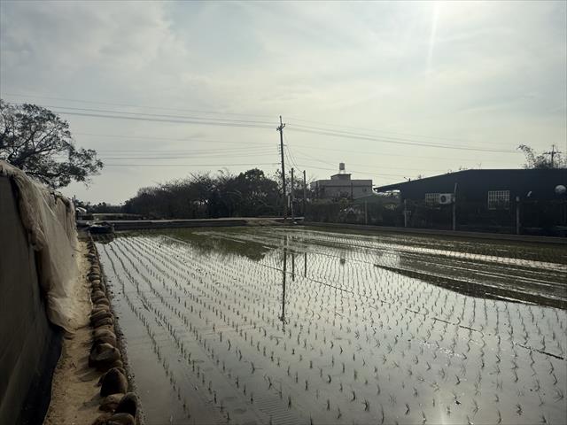 生產者圖片