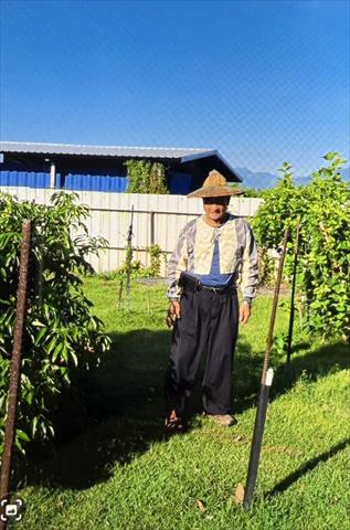 生產者圖片