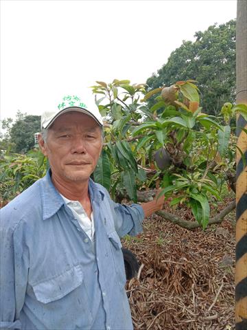 生產者圖片