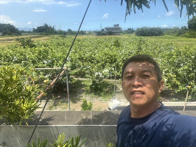 生產者圖片
