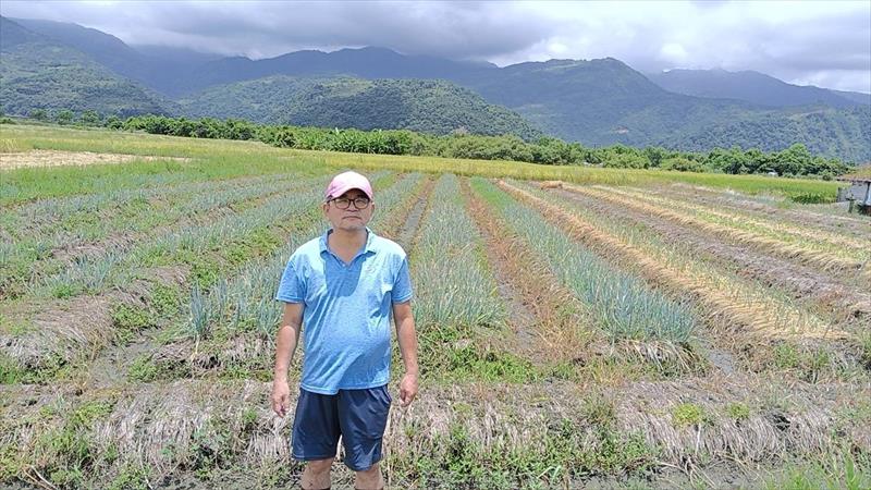 生產者圖片