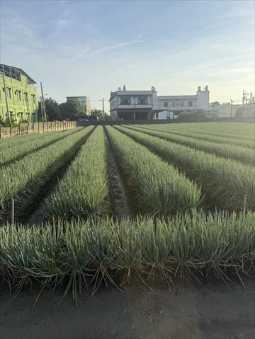 生產者圖片