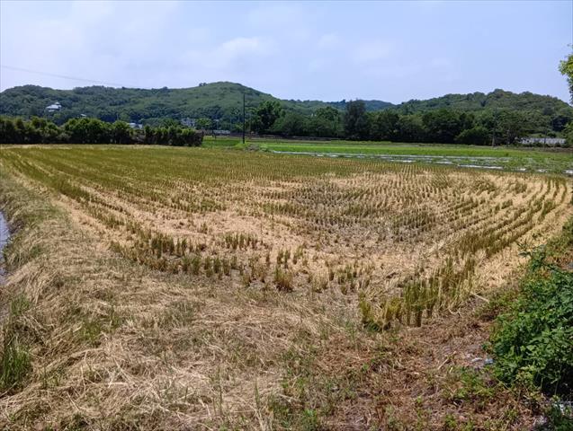 生產者圖片